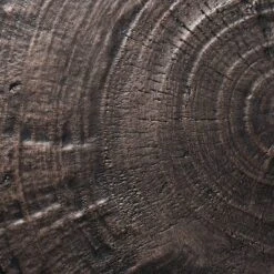 Grantsville Drum Accent Table Black - Threshold™ Designed With Studio McGee 3 Grantsville Drum Accent Table Black - Threshold™ Designed With Studio McGee -Threshold shop GUEST 2a48e59f 9a1e 4d95 a641 6710dbd36ebe