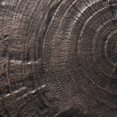 Grantsville Drum Accent Table Black - Threshold™ designed with Studio McGee Grantsville Drum Accent Table Black - Threshold™ Designed With Studio McGee -Threshold shop GUEST 2a48e59f 9a1e 4d95 a641 6710dbd36ebe